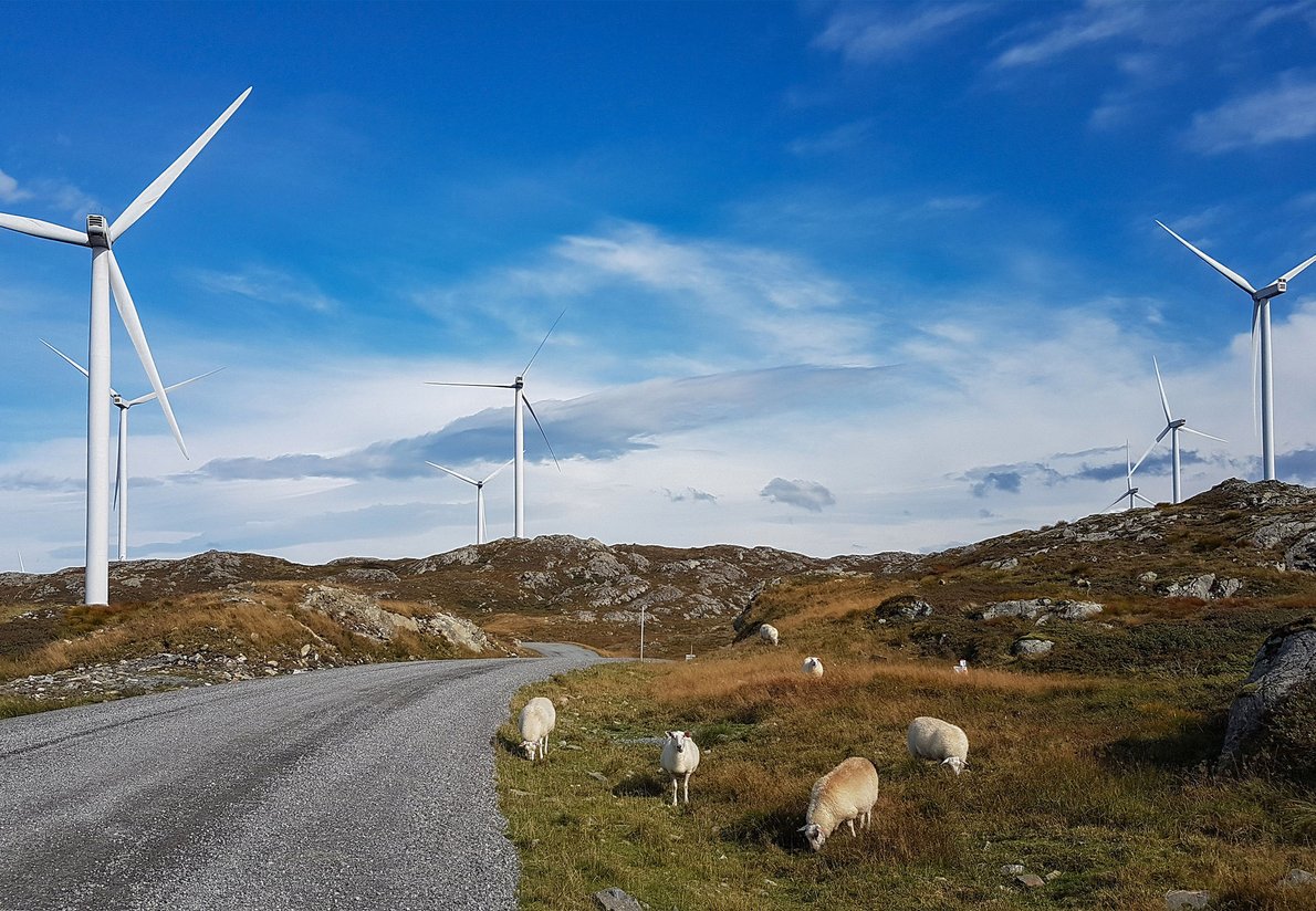 Tesla Windpark